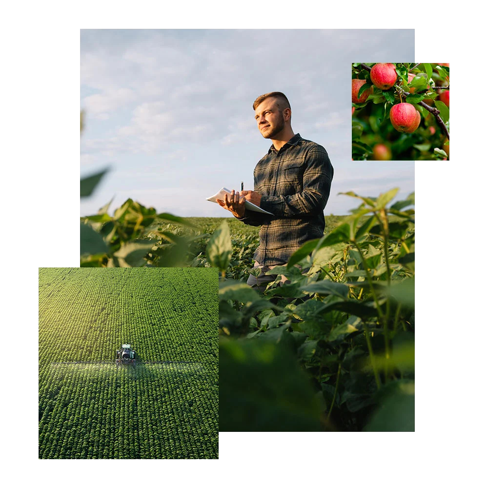 industries-collage-ag