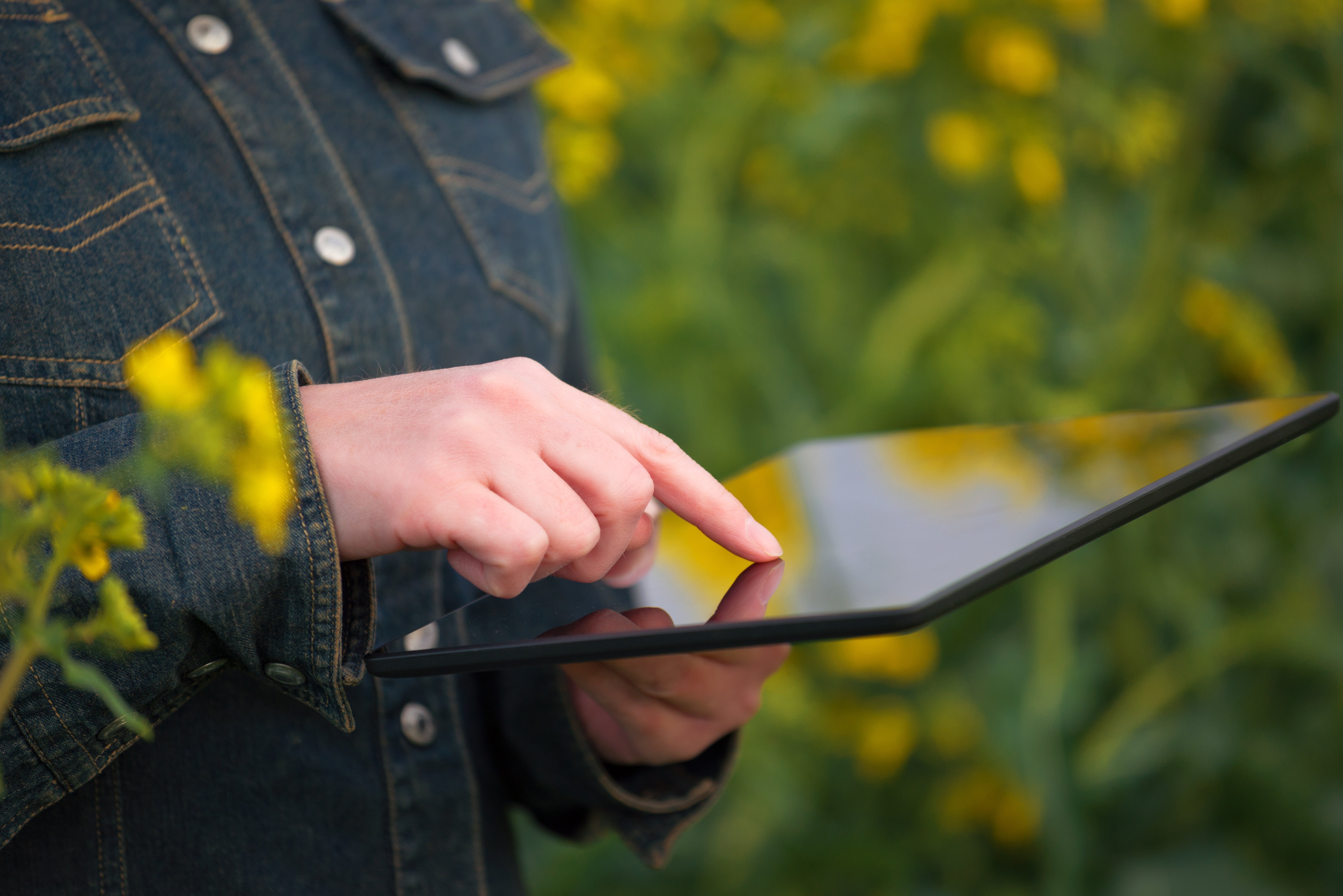 Agencies and Agriculture: Creating Strategic Growth